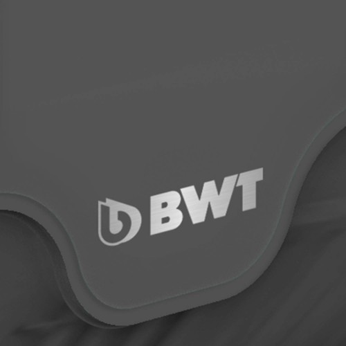 Module Wifi BWT PRO